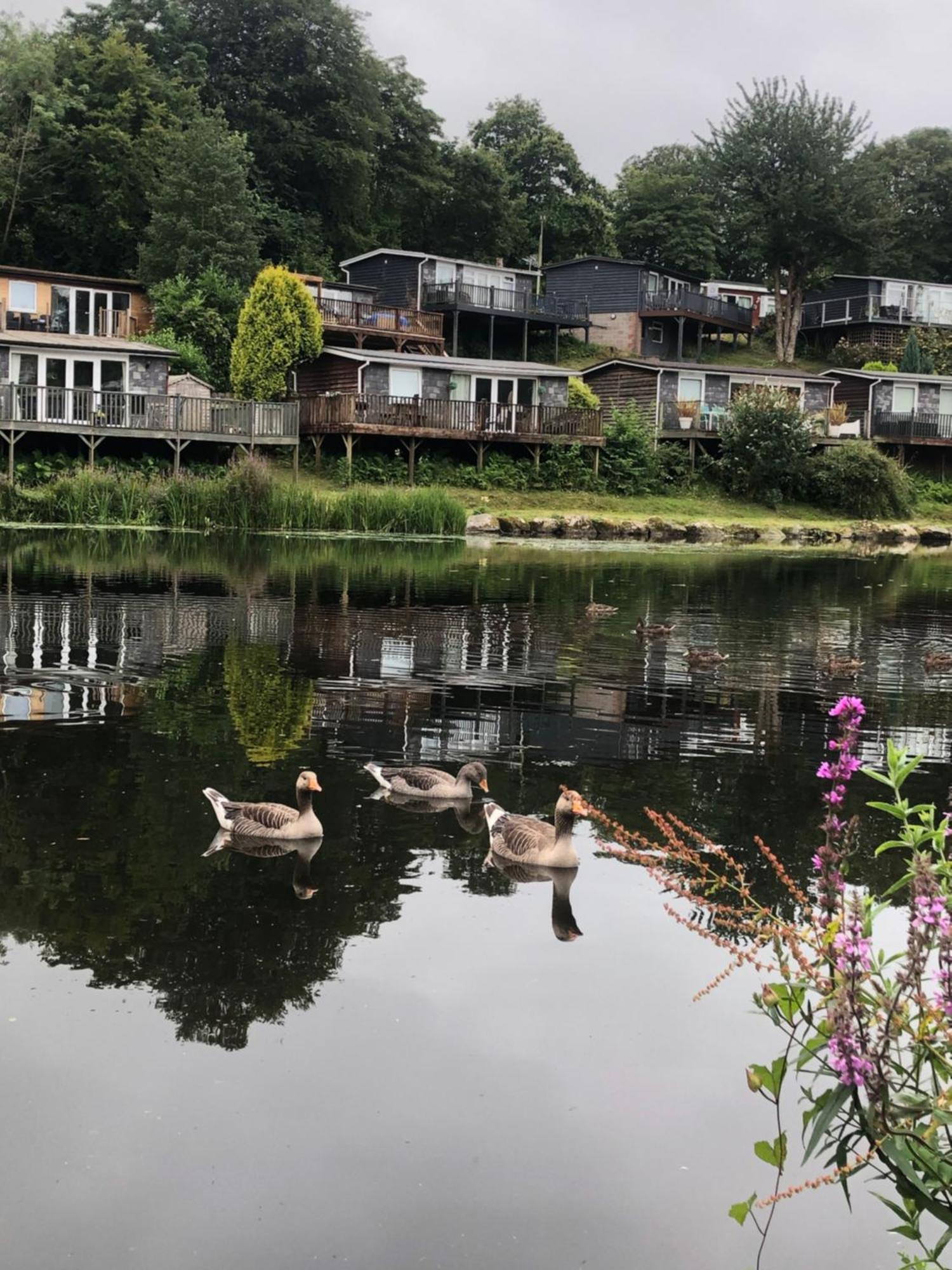 Chalet 64, Lakeside, Glan Gwna Holiday Park Caernarfon Ngoại thất bức ảnh